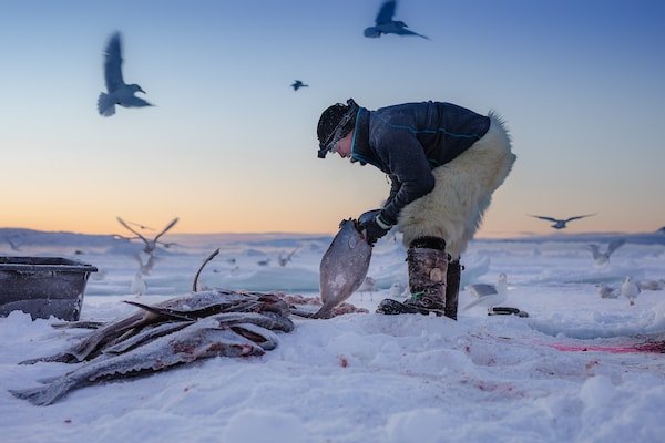 fisherman_pulling_fish_from_frozen_sea