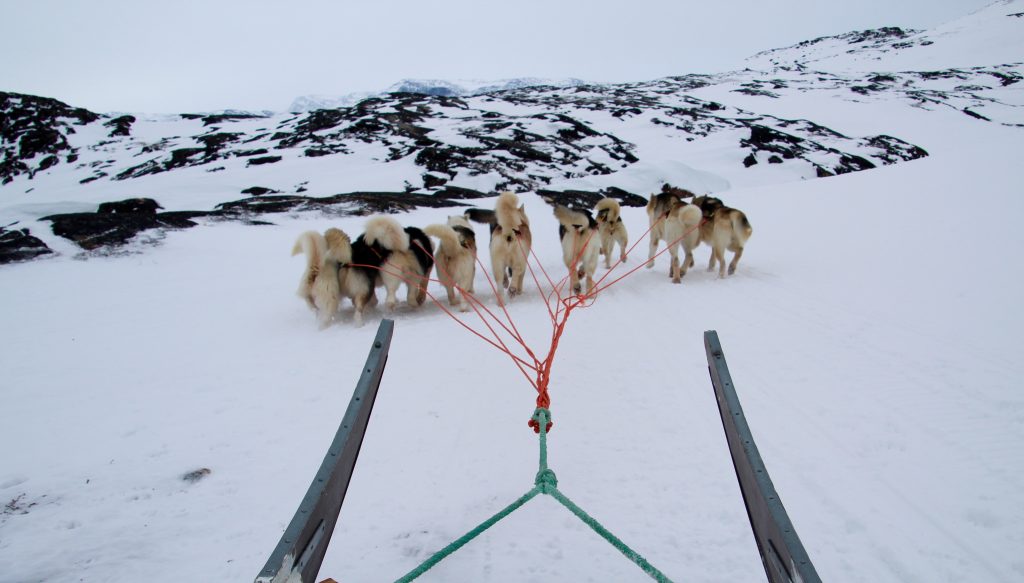 dogsledding_in_ilulissat_arctic_adventure