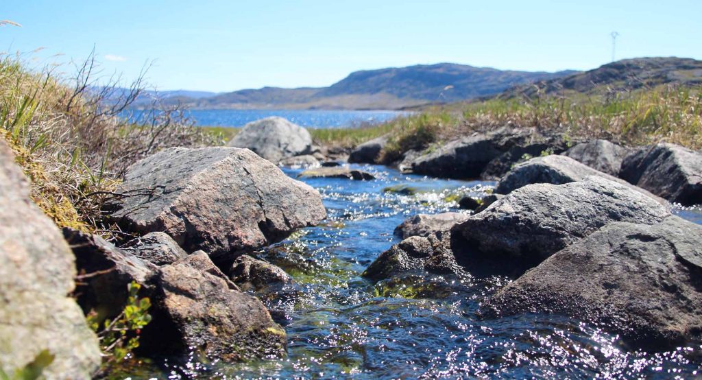 stream_near_storesøen_in_qaqortoq_by_Arctic_Adventure_ApS